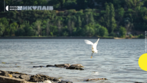 Миколаївщина: Фототиждень. Яскраві моменти, які запам'ятаються.