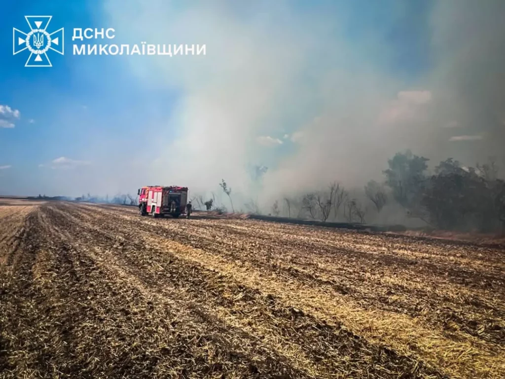 Миколаївщина: 4 га пшениці в попіл. Пожежі знищують врожай.