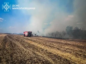 Миколаївщина: 4 га пшениці в попіл. Пожежі знищують врожай.
