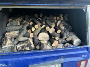 На Миколаївщині: Штрафи за незаконну вирубку лісосмуг.