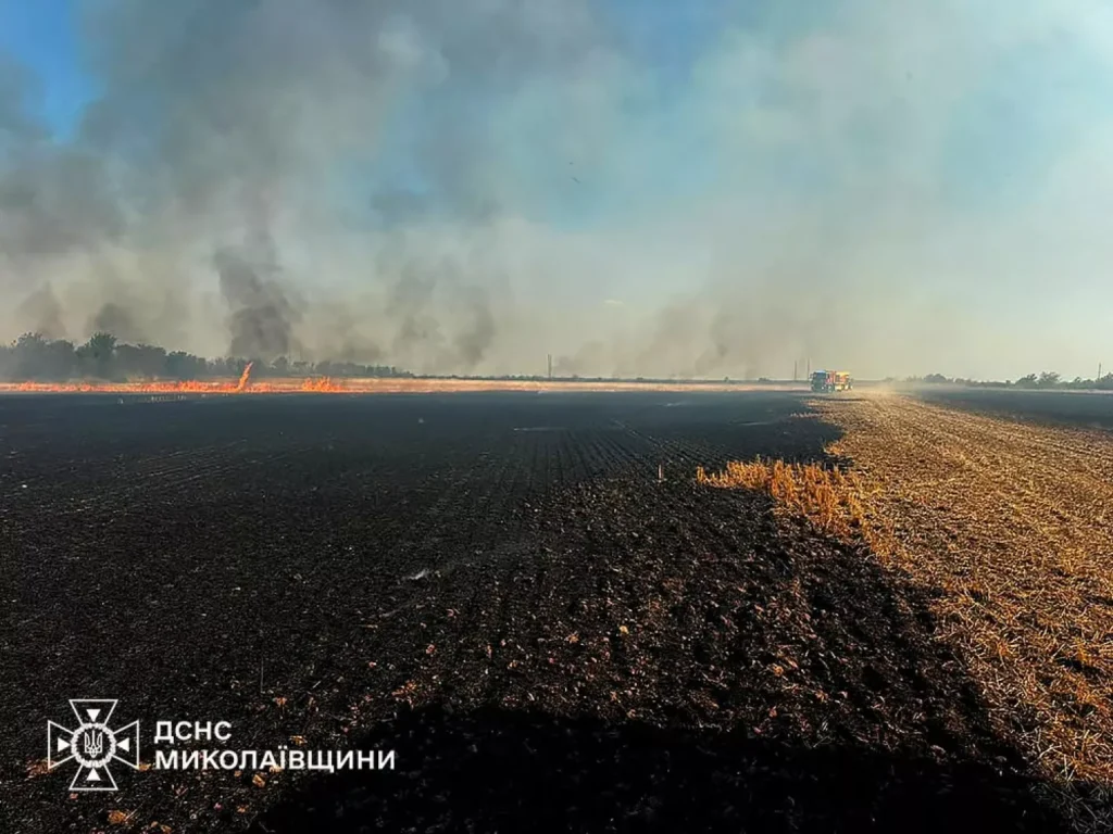 За добу на Миколаївщині 53 пожежі: вогонь знищив понад 74 га пшениці.