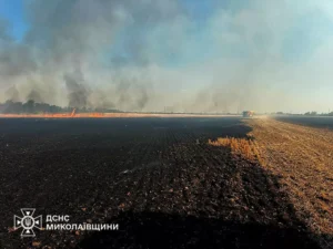 За добу на Миколаївщині 53 пожежі: вогонь знищив понад 74 га пшениці.