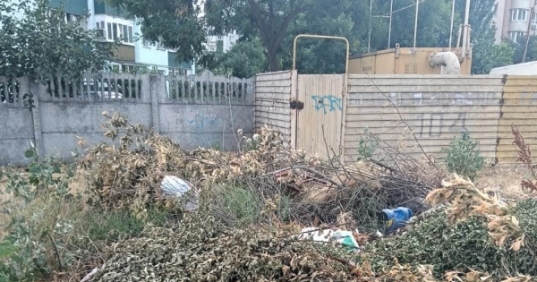 ЧистоМиколаїв: Звільнено місто від сміттєвої загрози після звернення мешканців