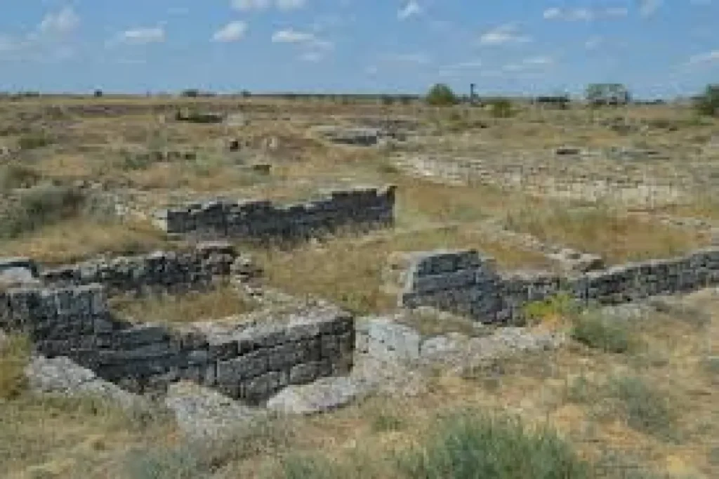 Скарби Ольвії у вольтметрі: Миколаївщина судить двох чоловіків.