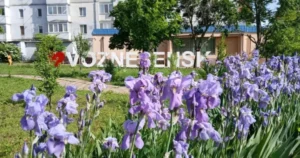 У Вознесенську зникло світло: удар по енергооб'єкту після повітряної тривоги.